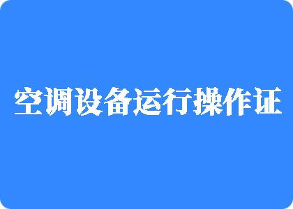 大鸡在操骚逼视频制冷工证